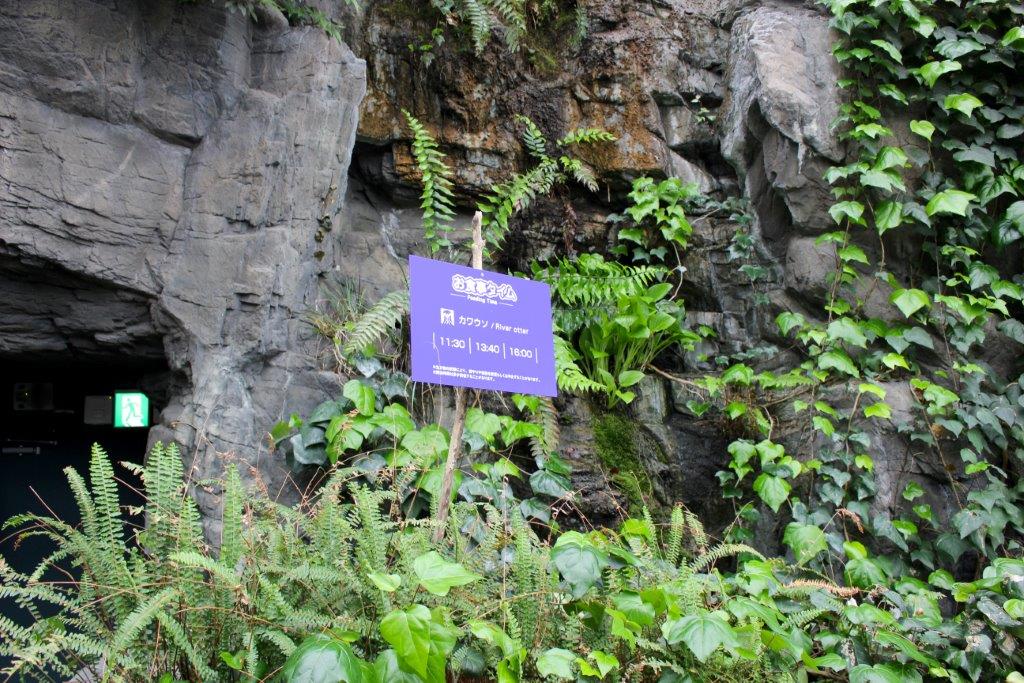 お食事（ひき）