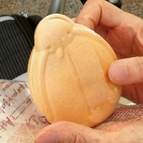 aqu_shoku_penguinmonaka