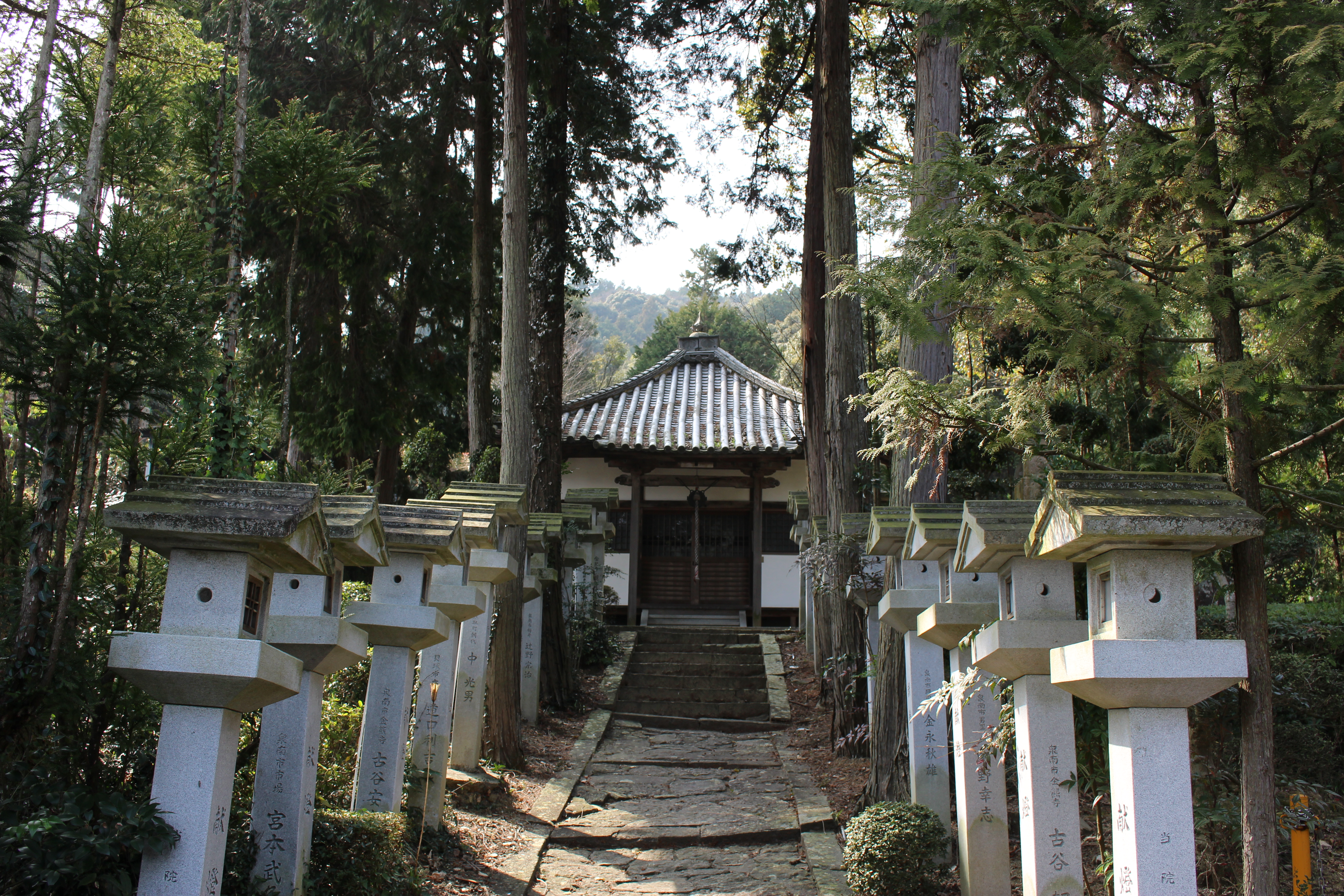 山の近くの寺3