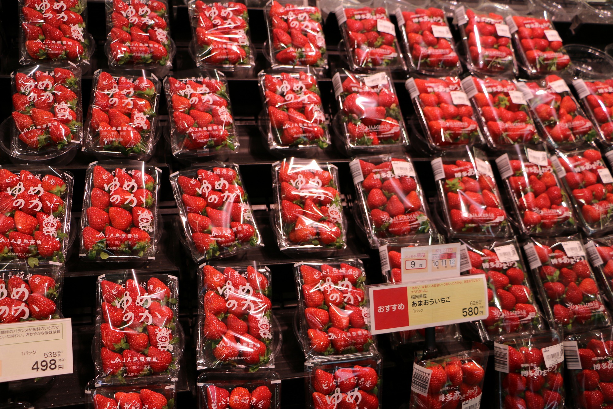 スーパーの野菜05