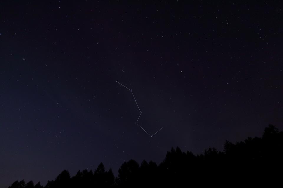 ãããã¾åº§ï¼ç·ããï¼