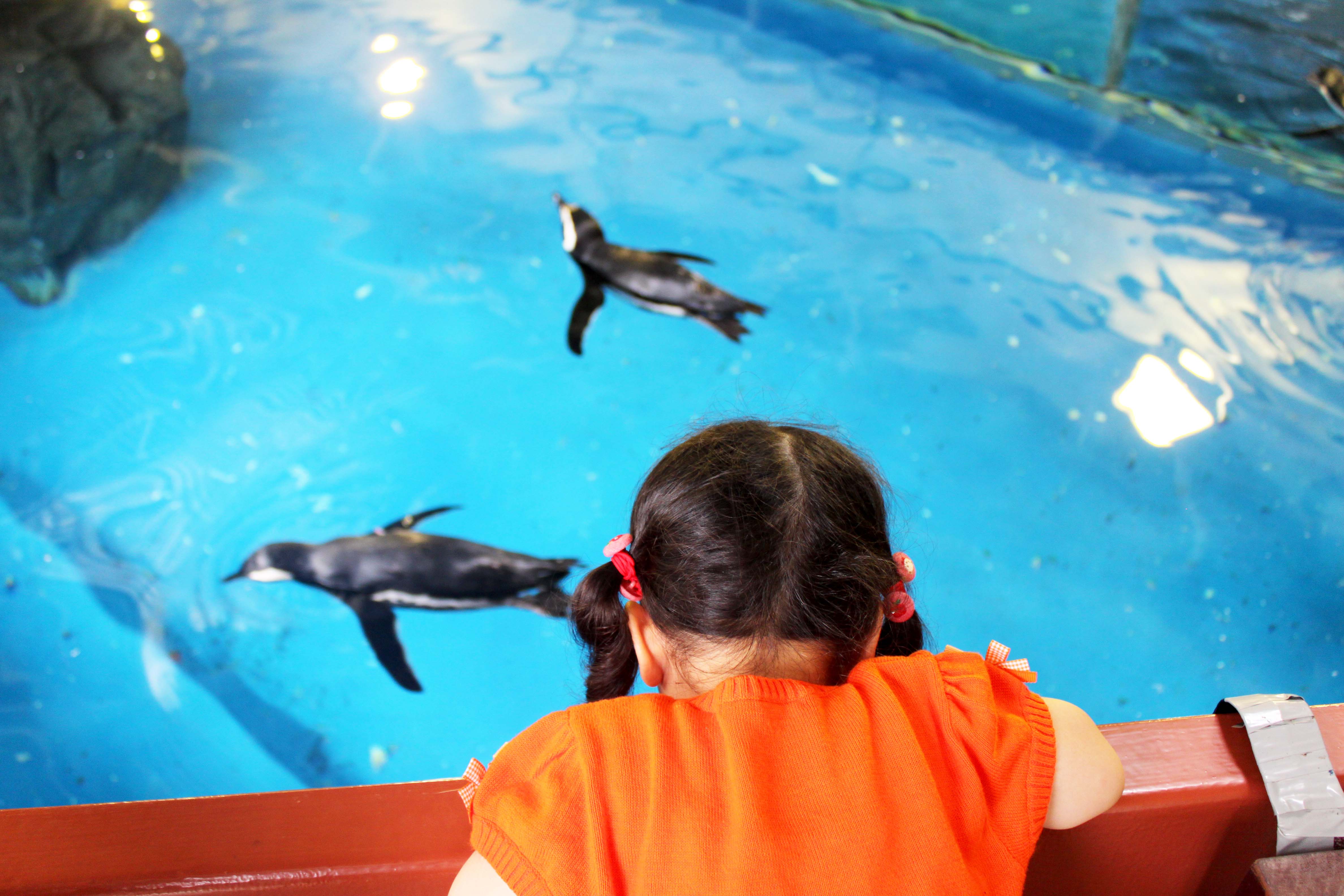 aa³aa³a¨a­aa