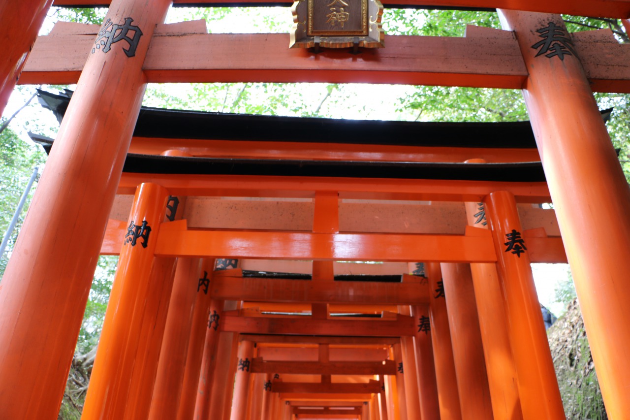torii1