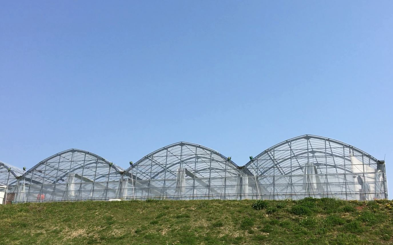 ããã¼ã«ãã¦ã¹