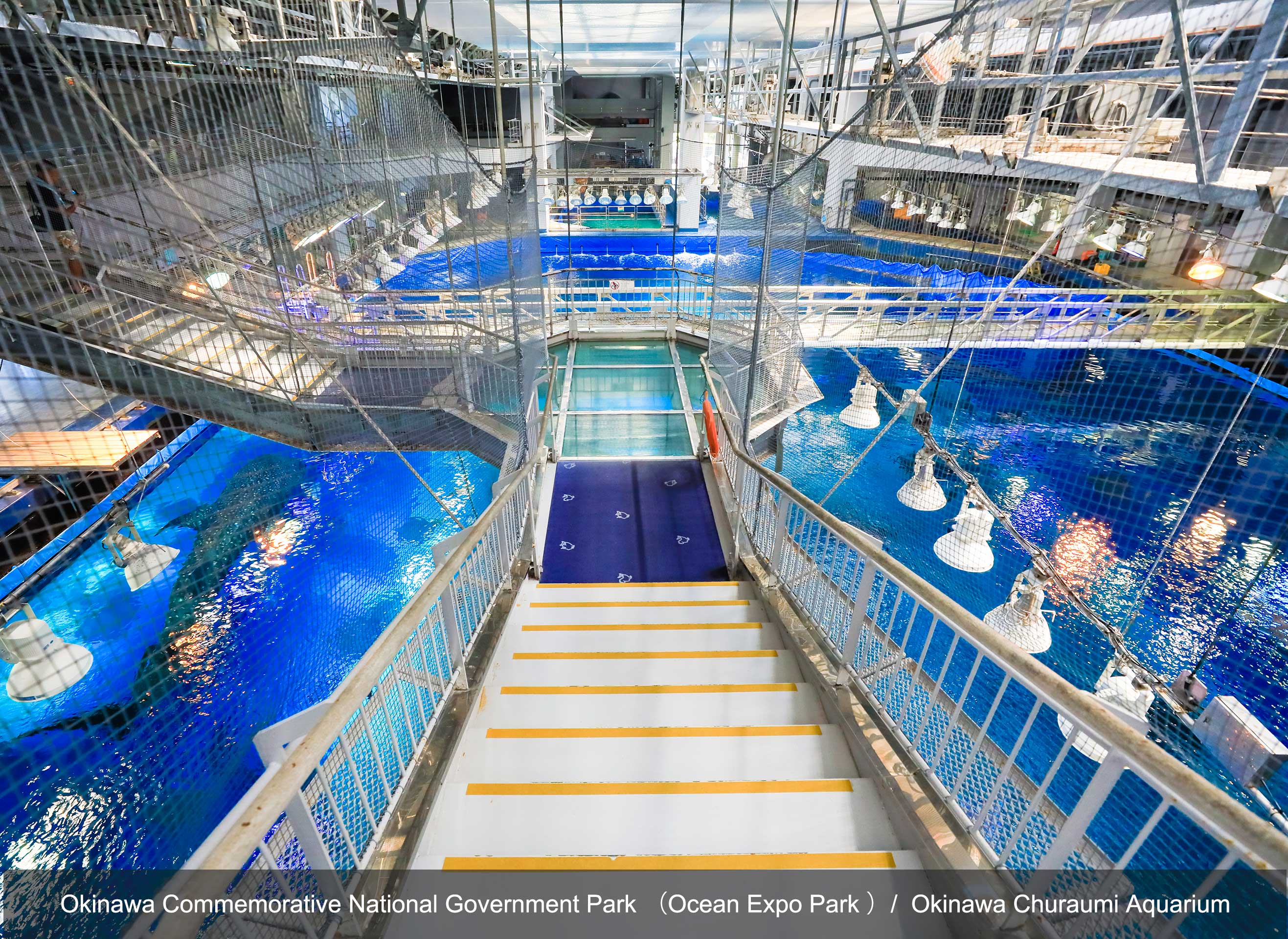 新クレジット_黒潮探検_X3A6568_20180724